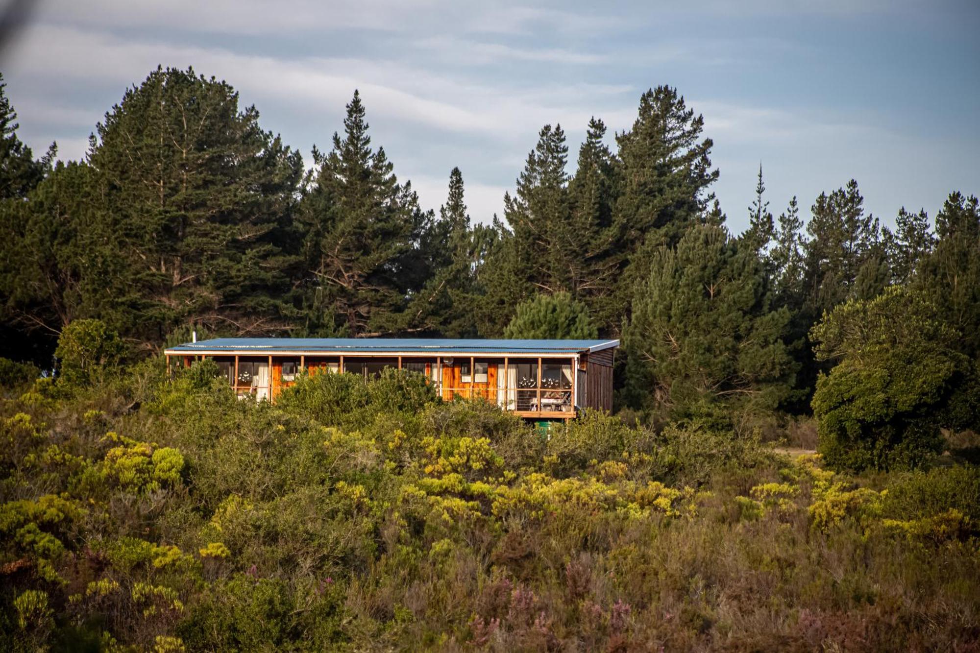 Equleni Guest Farm Otel Sedgefield Dış mekan fotoğraf